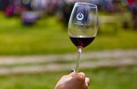 vin festival - agroexpert.md