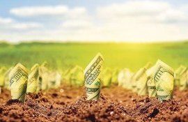credite agricultură rate - agroExpert.md