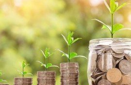 economii business rate - AgroExpert.md