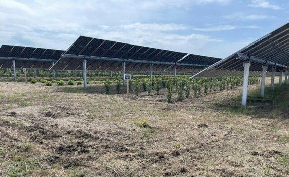 fotovoltaica ferma Italia - AgroExpert.md