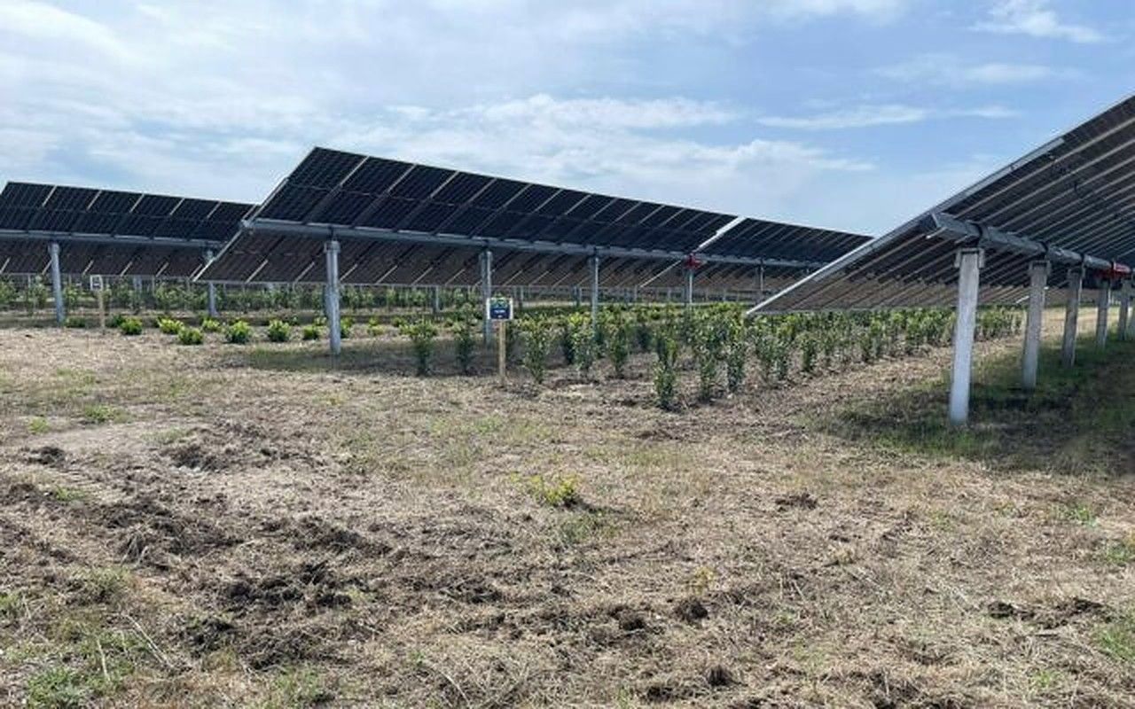 fotovoltaica ferma Italia - AgroExpert.md