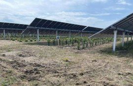 fotovoltaica ferma Italia - AgroExpert.md