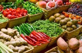 legume patenta comercianți - AgroExpert.md