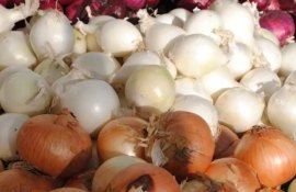 ceapă Moldova Ucraina - AgroExpert.md