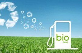 Цены на европейское рапсовое масло минимальны - agroexpert.md