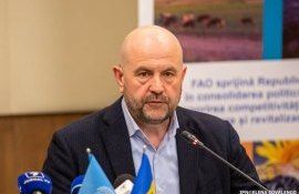 В структуре минсельхоза создана служба анализа рыночных цен - agroexpert.md   