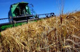 subvenții agricultori - agroexpert.md