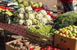 târguri produse autohtone - agroexpert.md