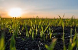 Ziua Câmpului - agroexpert.md