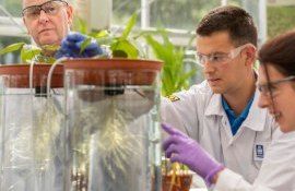 Новый завод Yara по производству специального питания растений - agroexpert.md