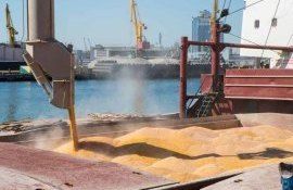 Украина готовится продолжить экспорт зерна по морю без России - agroexpert.md