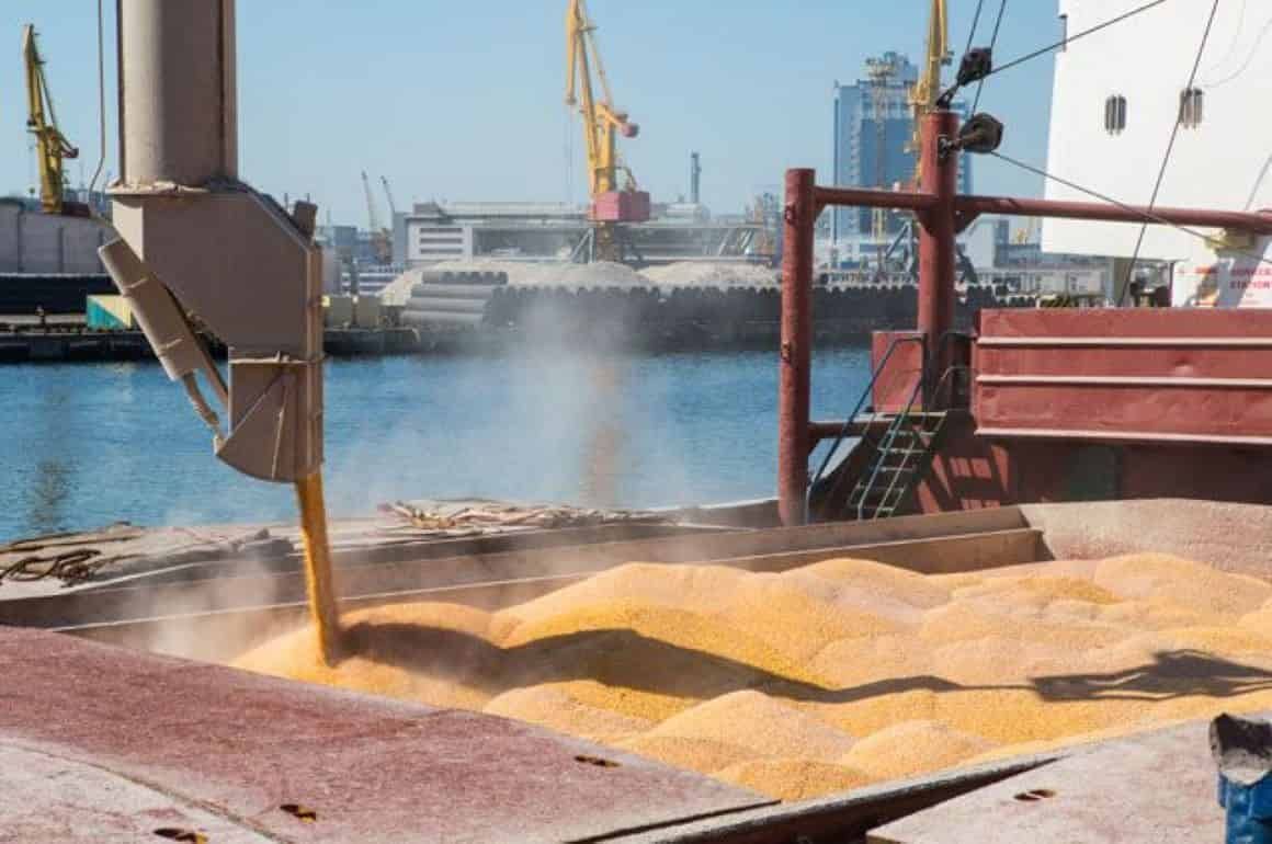 Украина готовится продолжить экспорт зерна по морю без России - agroexpert.md