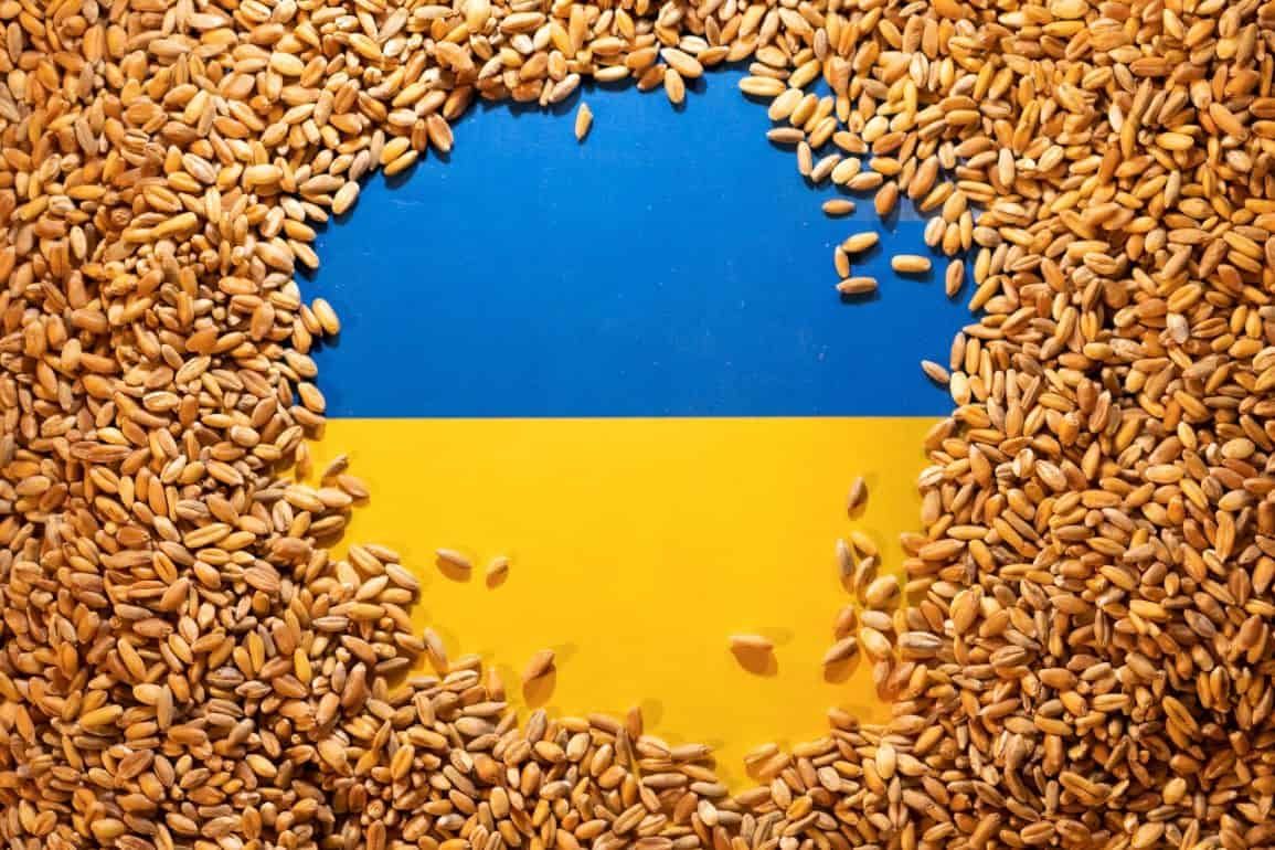 Еврокомиссия продлит ограничение на ввоз украинской сельхоз продукции - agroexpert.md