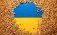 Еврокомиссия продлит ограничение на ввоз украинской сельхоз продукции - agroexpert.md