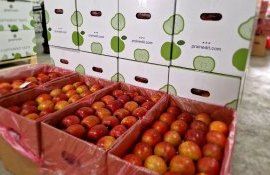mere export Israel - agroexpert.md