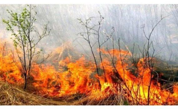 pericol incendiu Moldova - Agroexpert.md