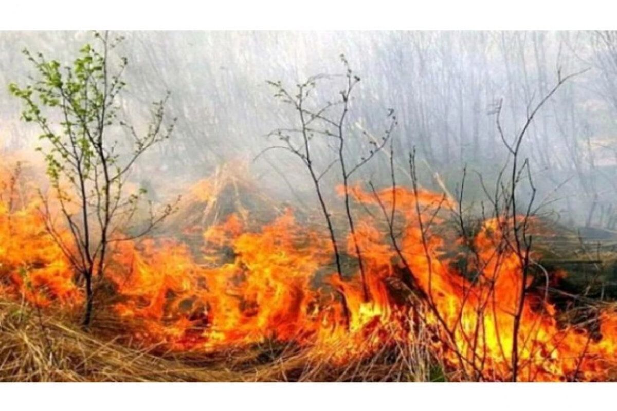 pericol incendiu Moldova - Agroexpert.md