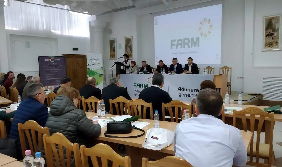 FARM: итоги прошлого года