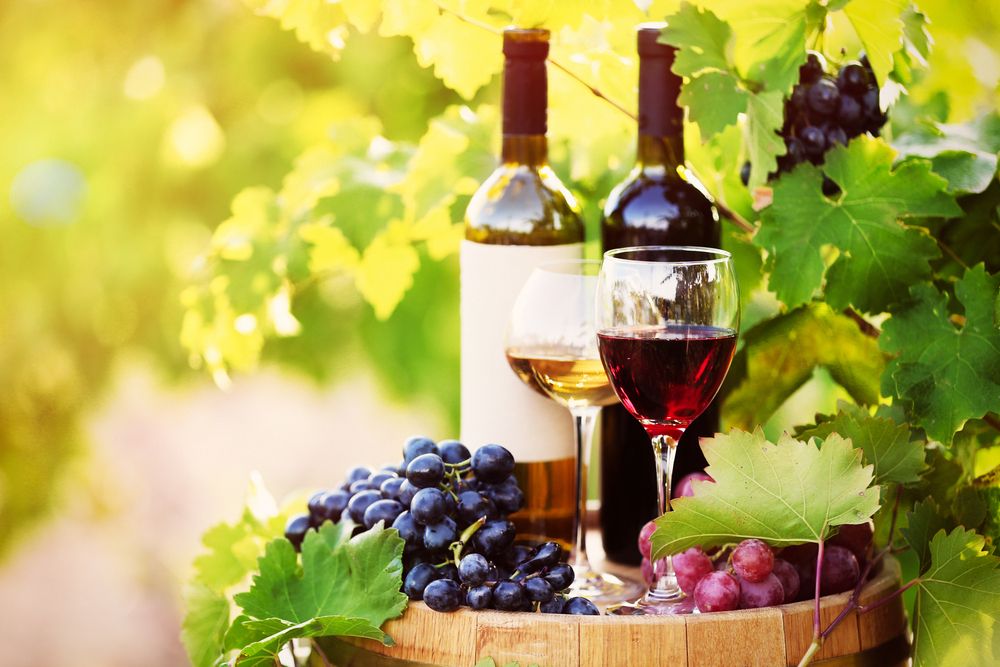 vinuri vinării China - agroexpert.md