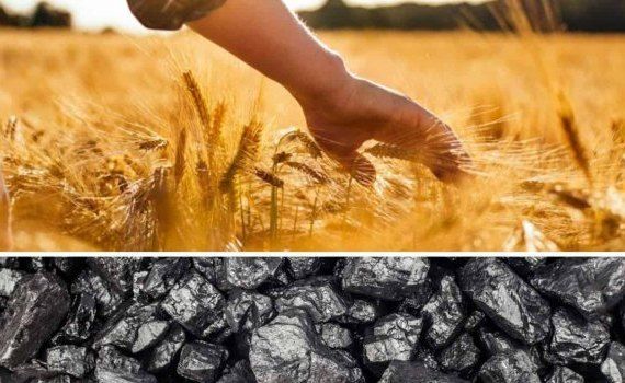 Казахстан начал производить удобрения из угля - agroexpert.md
