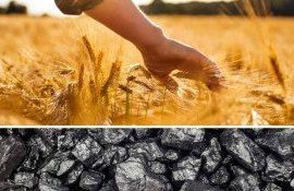 Казахстан начал производить удобрения из угля - agroexpert.md