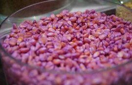 Новый препарат для предпосевной обработки семян от Syngenta - agroexpert.md