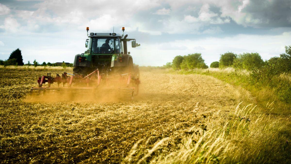 rambursare TVA agricultori - Agroexpert.md