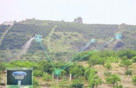 Рой беспилотников для внесения агрохимикатов работает в Бразилии - agroexpert.md