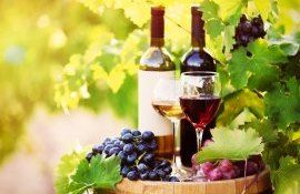 premii vin concurs  -Agroexpert.md