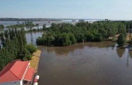 Ucraina baraj culturi - agroexpert.md