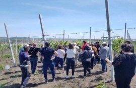 atelier producători struguri - Agroexpert.md