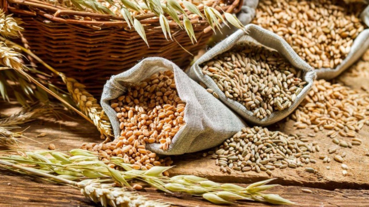 cereale Moldova Ucraina recolte - agroexpert.md