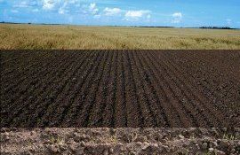 pierderi apă sol recomandări - Agroexpert.md