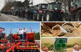 самых интересных новостей - agroexpert.md