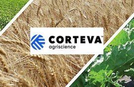 Corteva представляет новый активный ингредиент Arylex Active - agroexpert.md