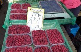 zmeură calitate - agroexpert.md