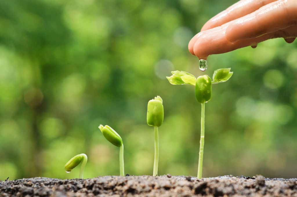 agricultură asociații - agroexpert.md