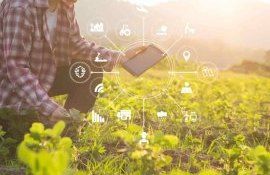 Yara открывает доступ к цифровой экспертизе питания сельхозкультур - agroexpert.md