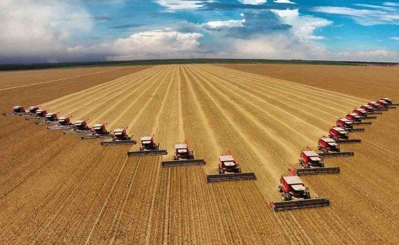 Молдова сохранит соглашения с СНГ по сельскому хозяйству - agroexpert.md