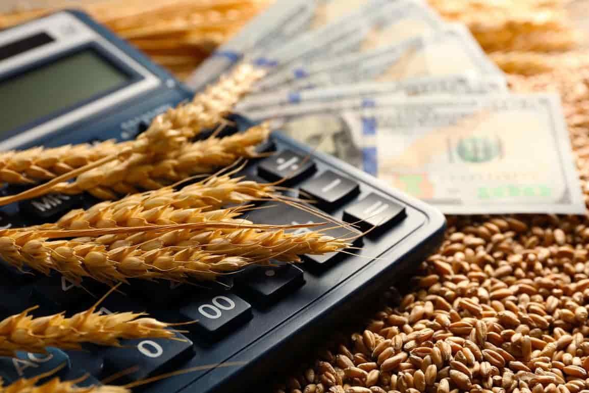 Министр обещает фермерам выплату субсидий до конца июля - agroexpert.md
