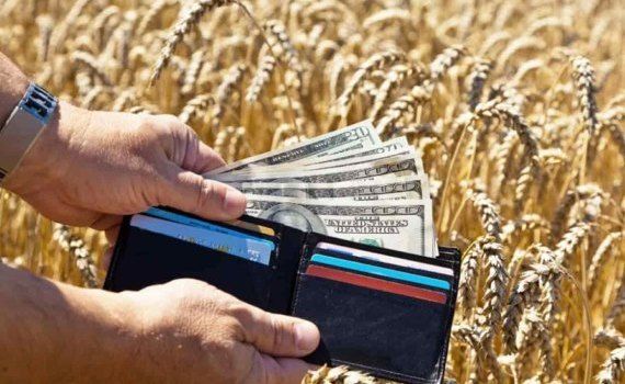Итальянские аграрии требуют ограничить импорт пшеницы в страну - agroexpert.md    