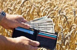 Итальянские аграрии требуют ограничить импорт пшеницы в страну - agroexpert.md    