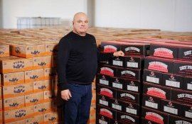 afacere prune cooperativă - agroexpert.md
