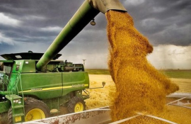 înșelătorii comerț companii - agroexpert.md