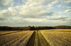 corteva eden - agroexpert.md