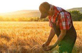 agricultură locuri vacante - agroexpert.md