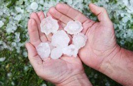 Защита садов от града с помощью воздушных шаров - agroexpert.md