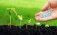 Необходимость сбора информации для управления питанием растений - agroexpert.md