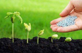 Необходимость сбора информации для управления питанием растений - agroexpert.md