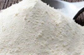 К 2030 году рынок белка насекомых достигнет $8 млрд  - agroexpert.md
